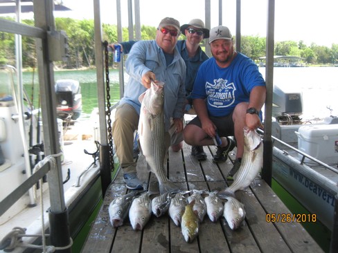 Nice Striped Bass